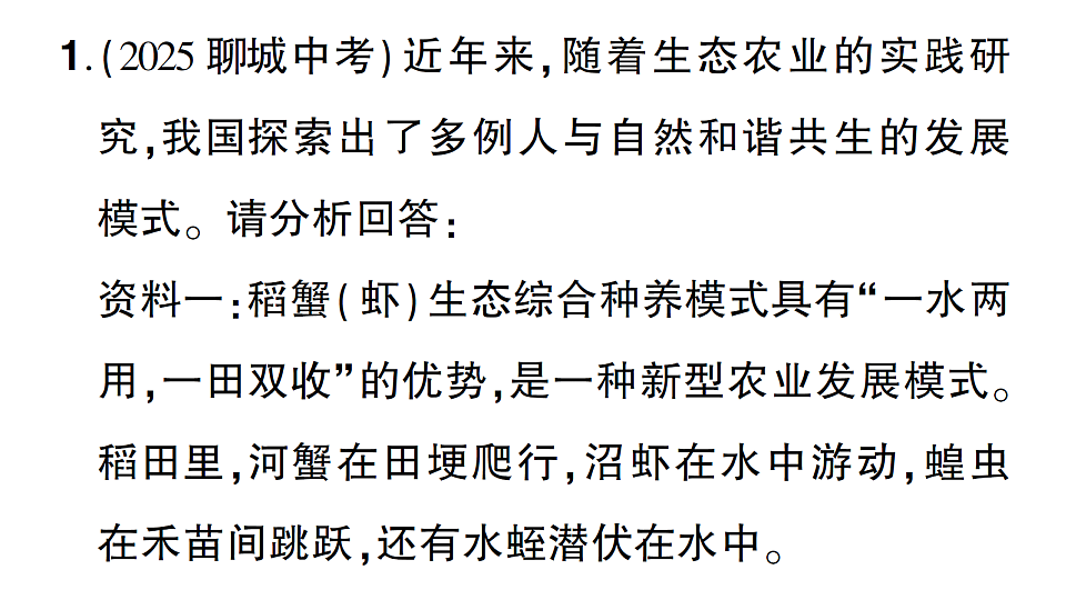 17776845第2页