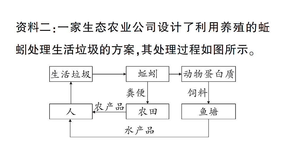 17776845第3页