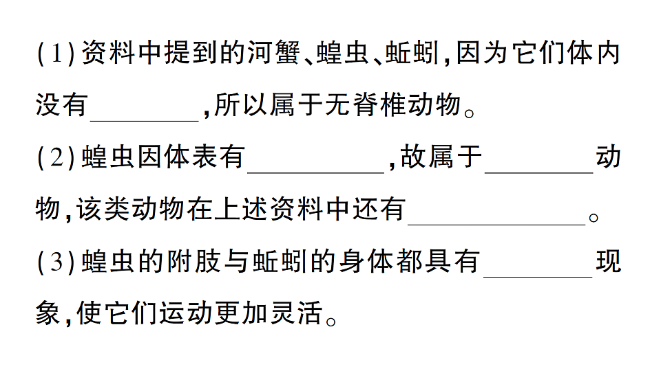 17776845第4页