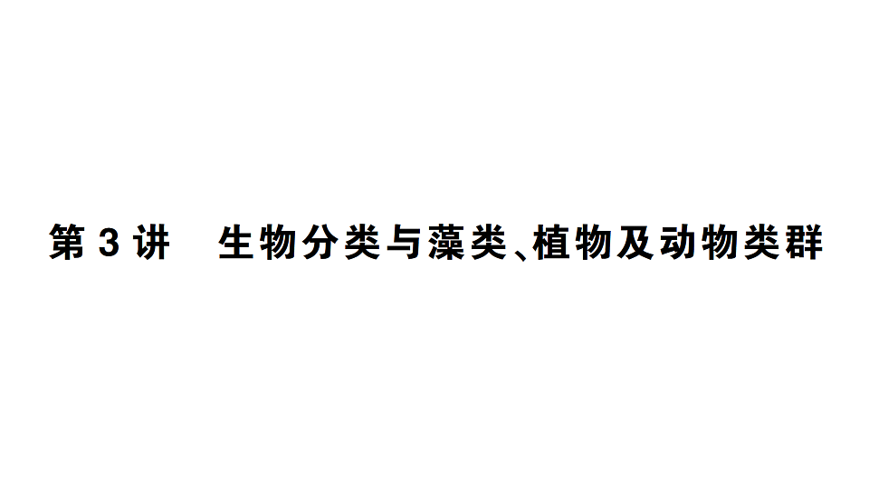 17776846第1页