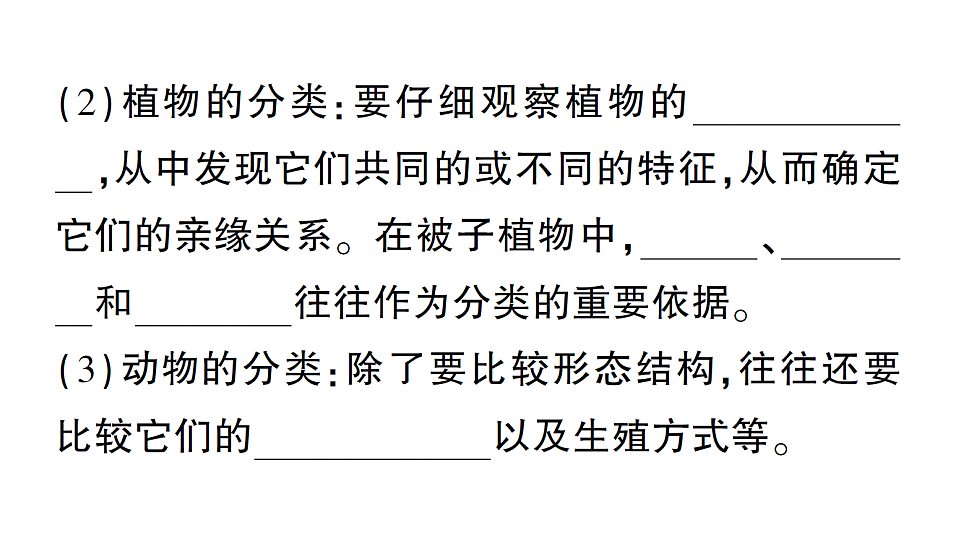 17776846第3页