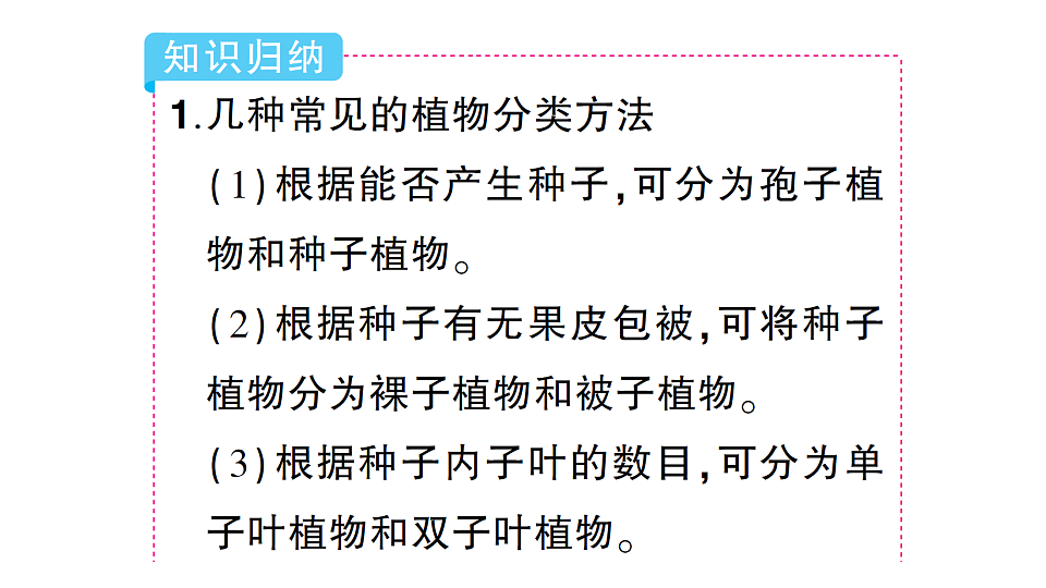 17776846第4页