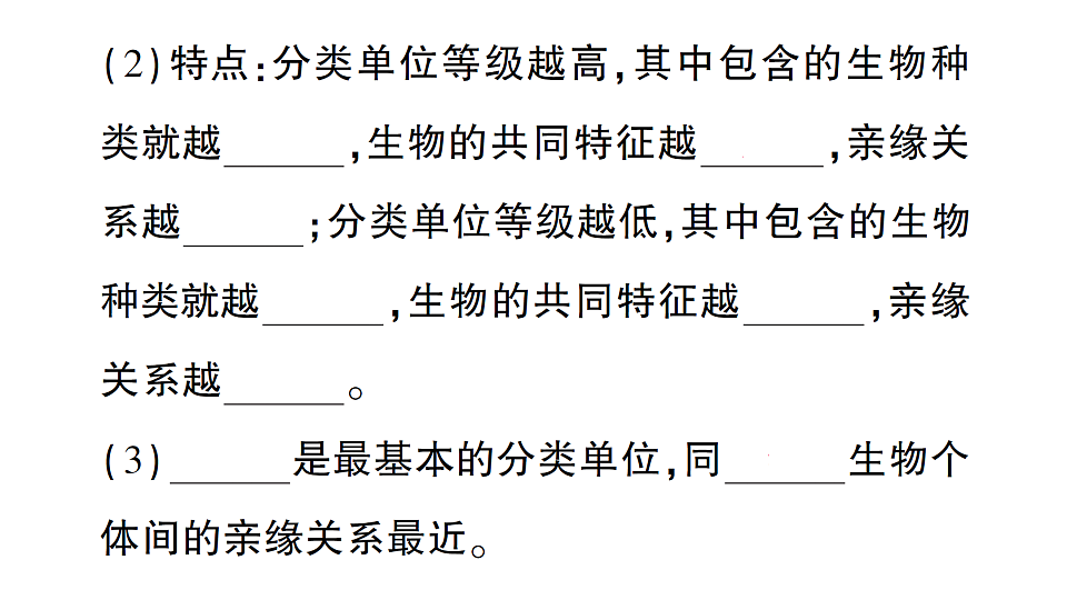 17776846第7页