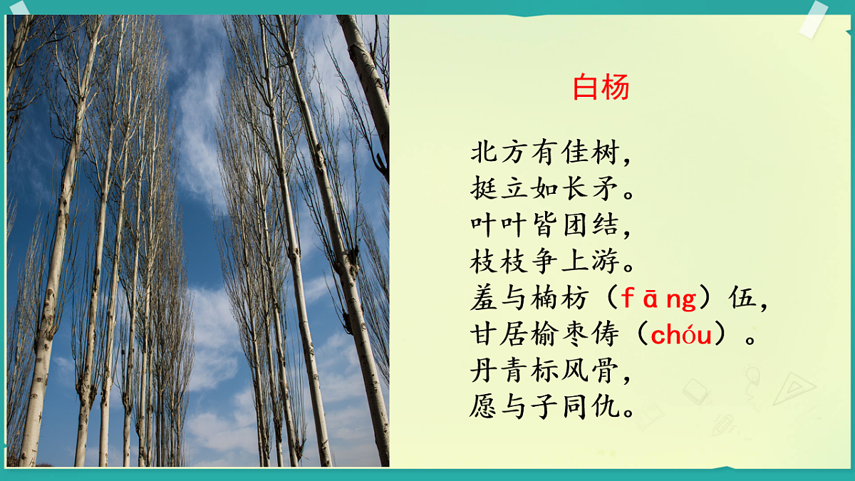 17777058第3页