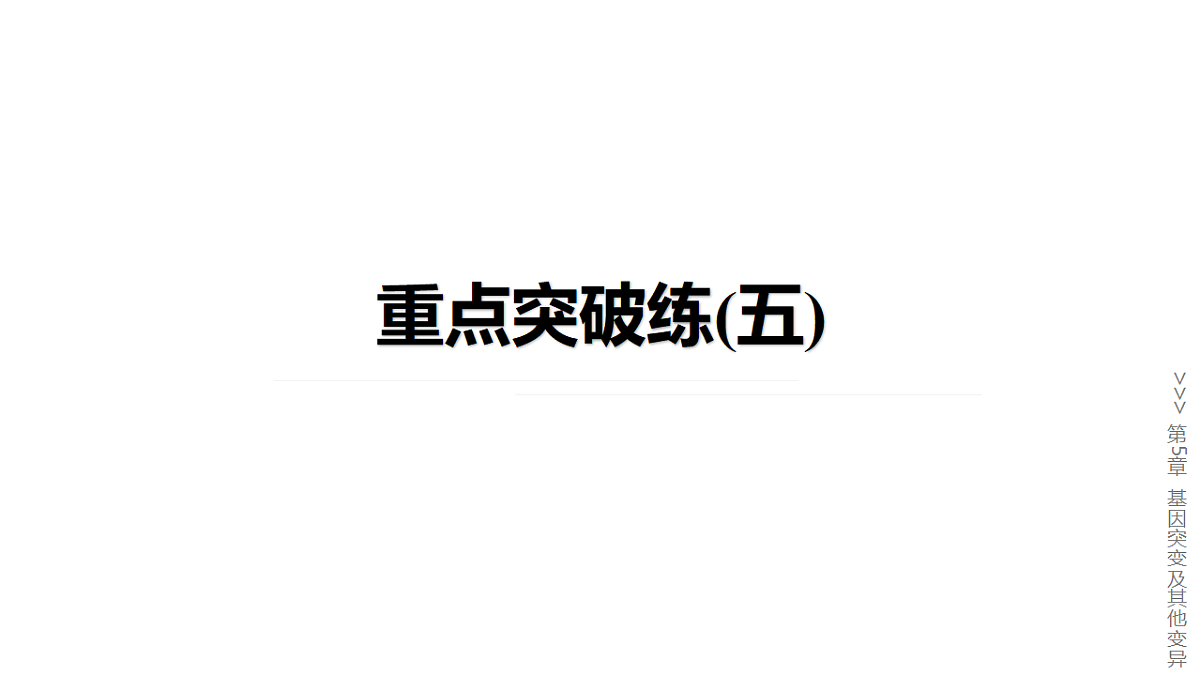 17777686第1页