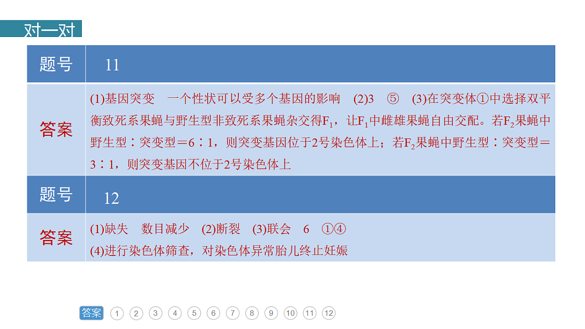 17777686第3页