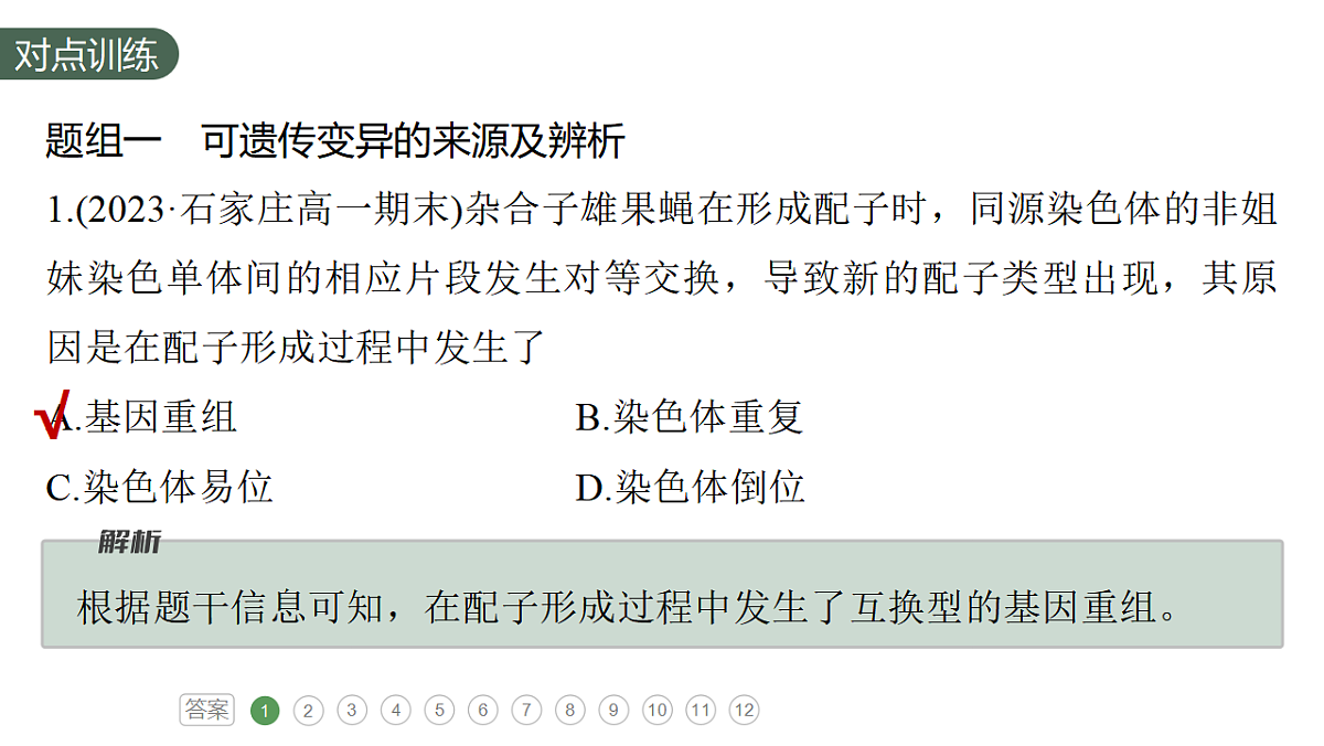 17777686第4页
