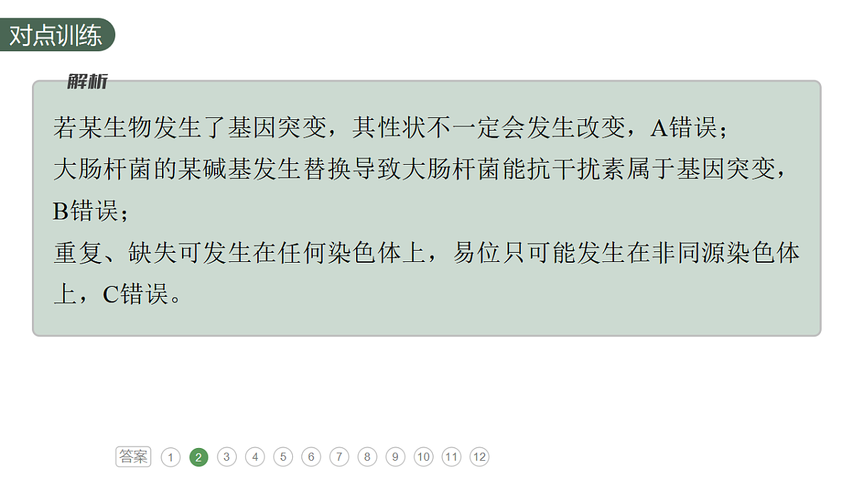 17777686第6页