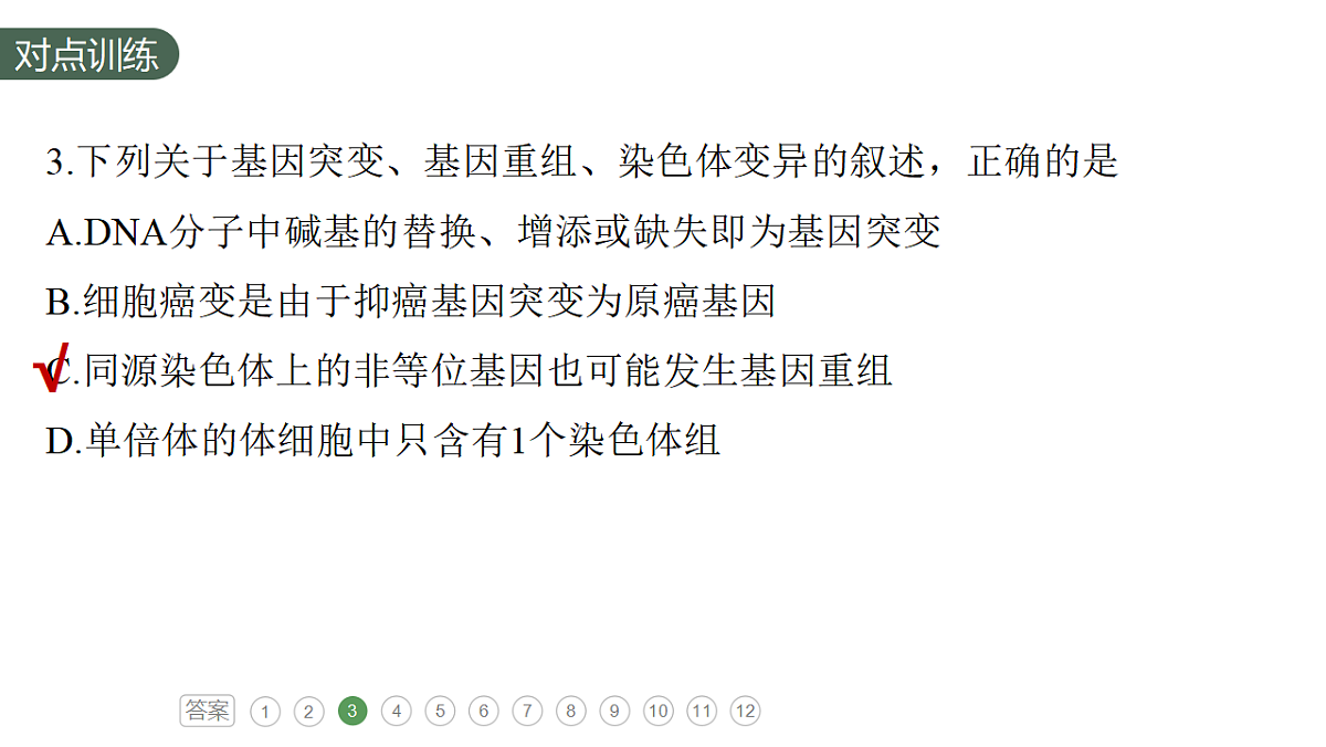 17777686第7页