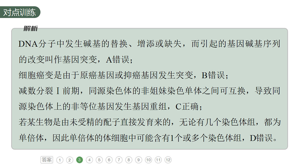 17777686第8页