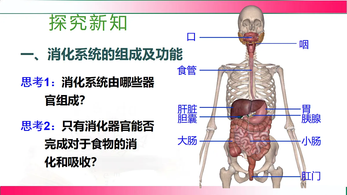 17778451第4页