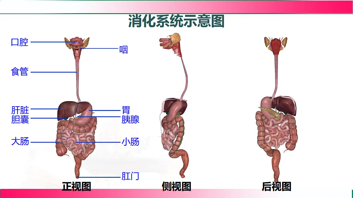 17778451第5页