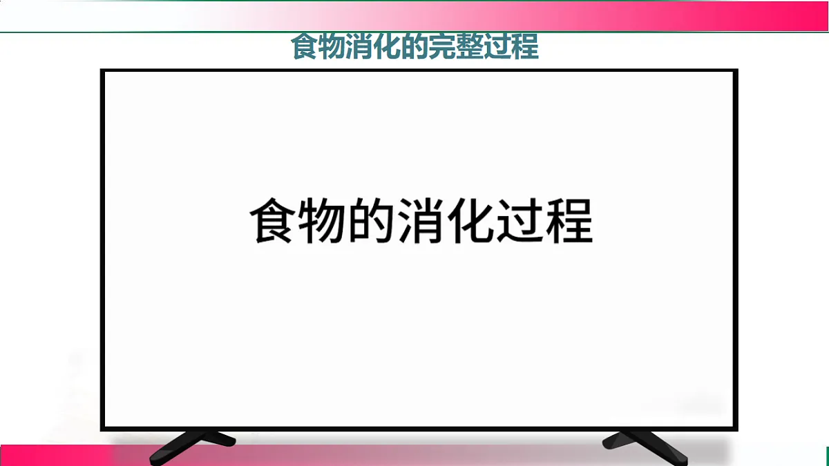 17778451第6页