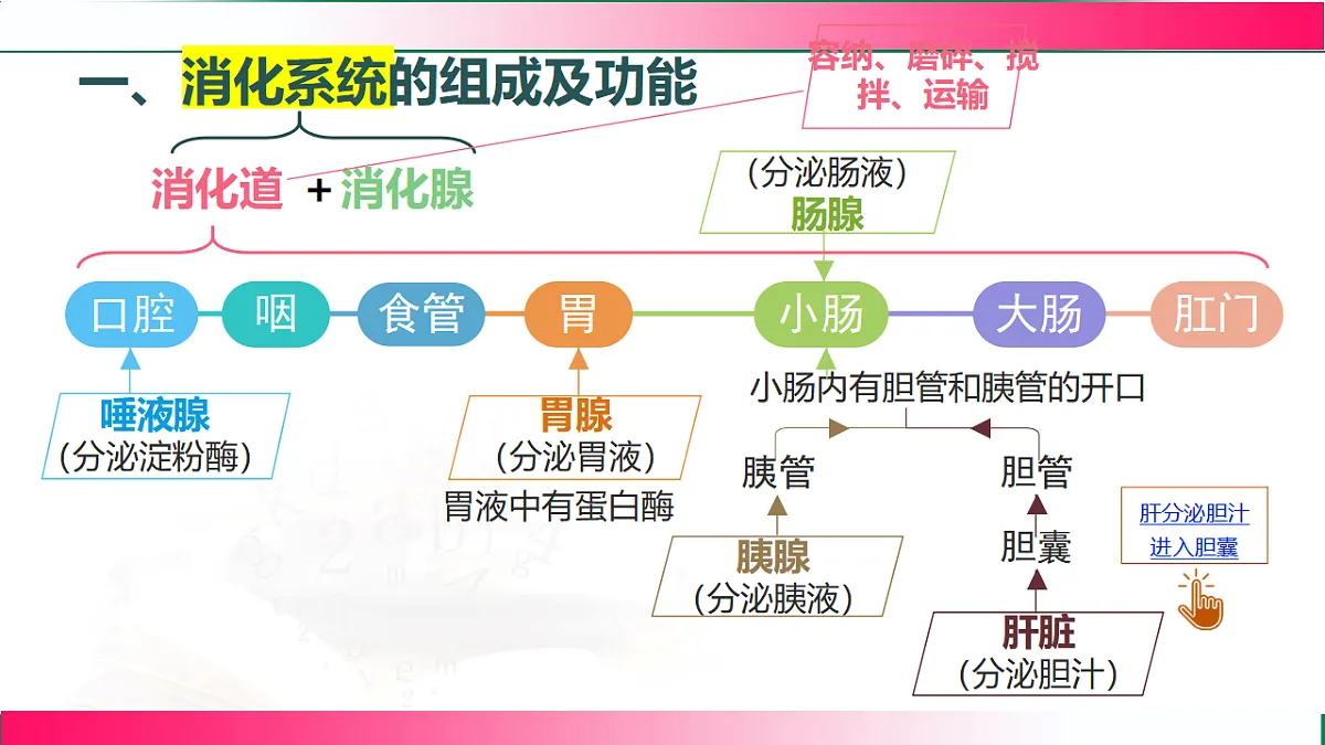 17778451第7页
