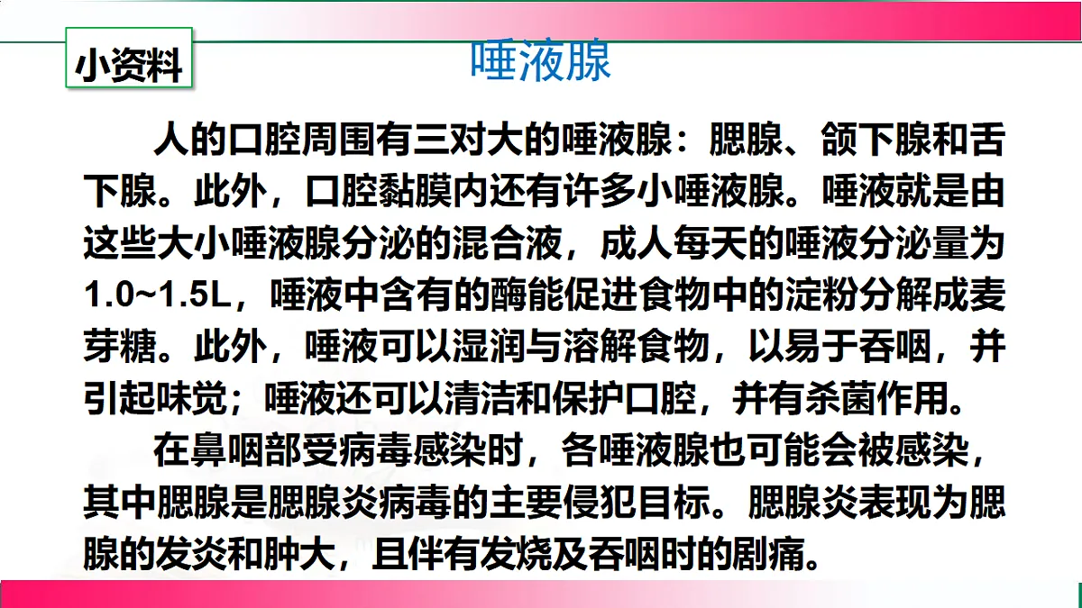 17778451第8页