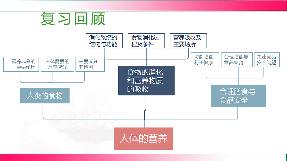 17778454第3页