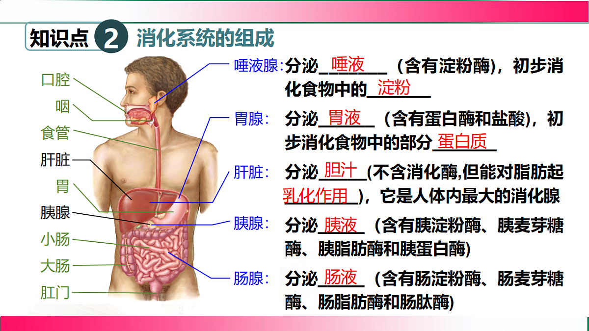 17778454第6页