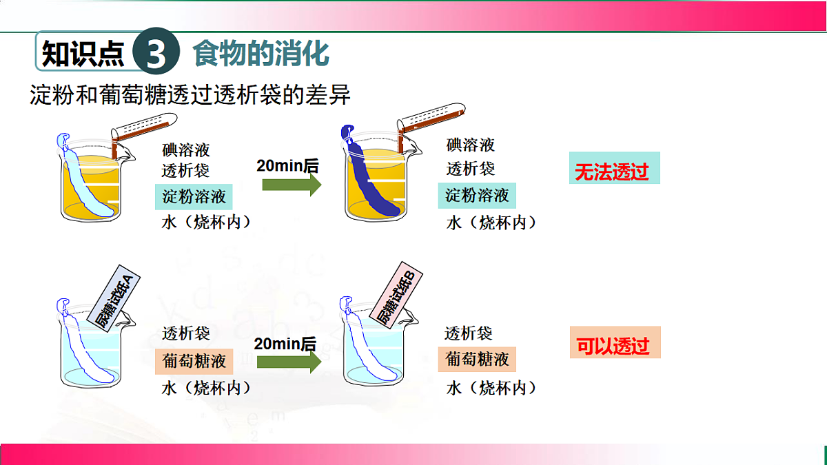 17778454第7页