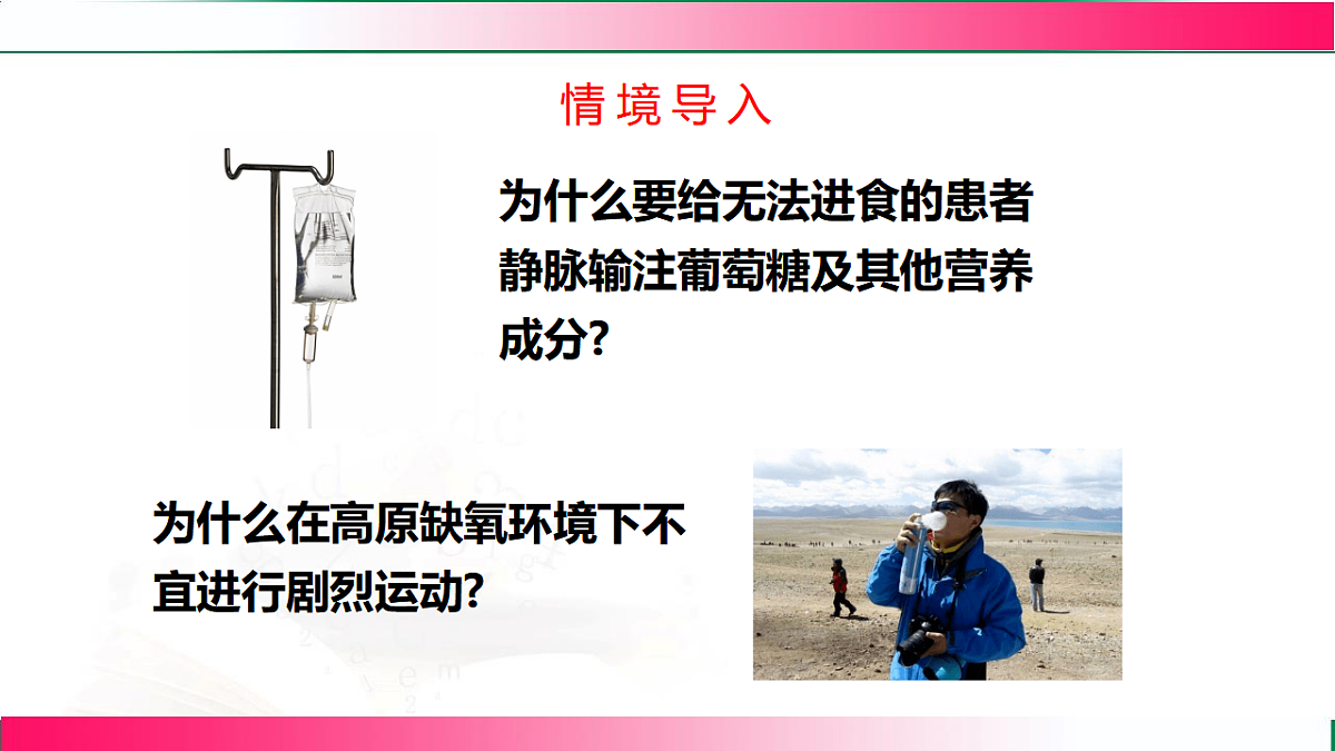 17778459第3页