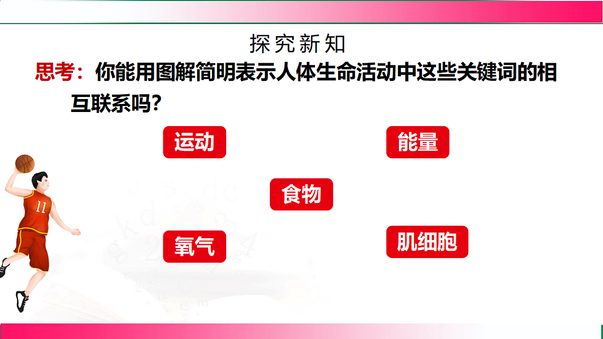 17778459第4页