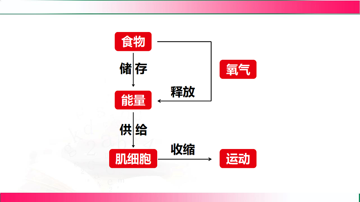 17778459第5页