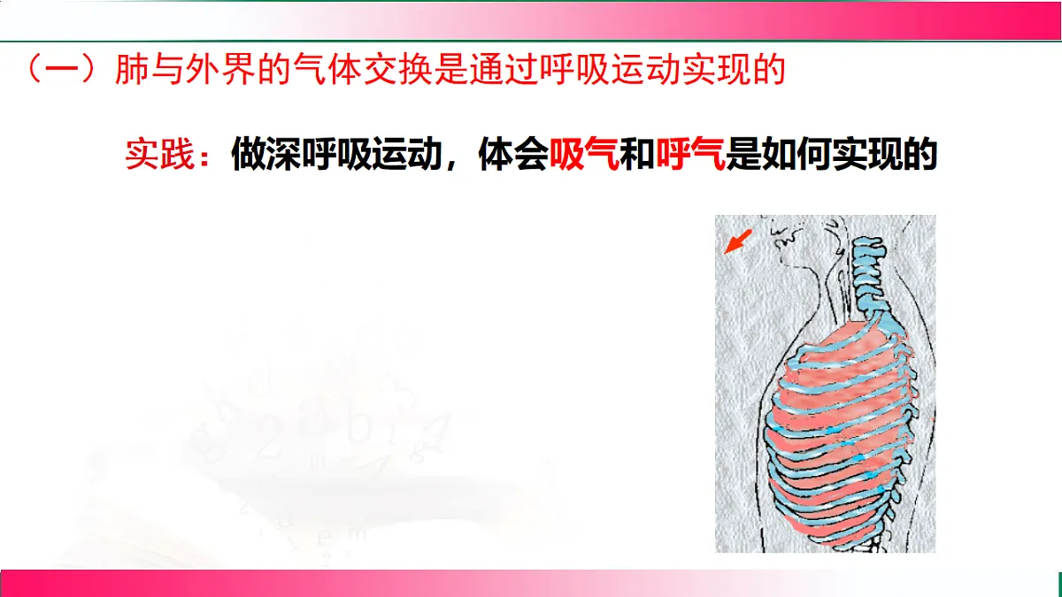 17778461第5页