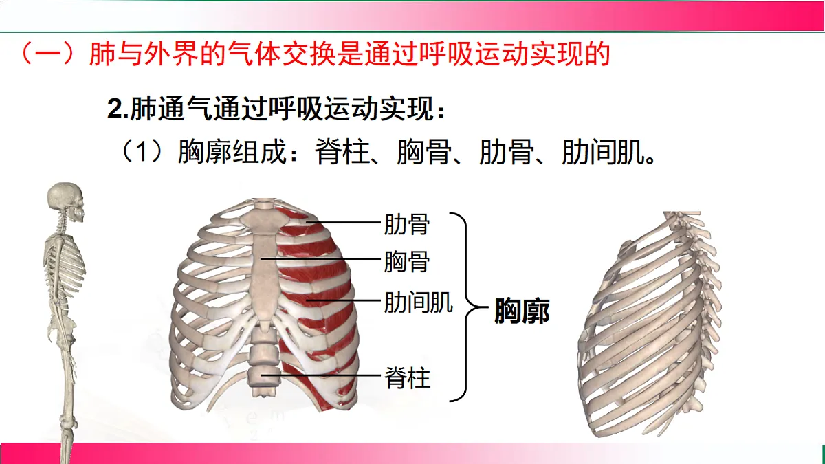 17778461第6页