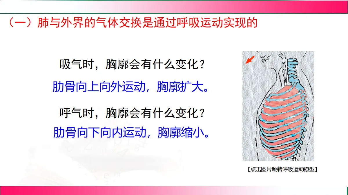 17778461第7页