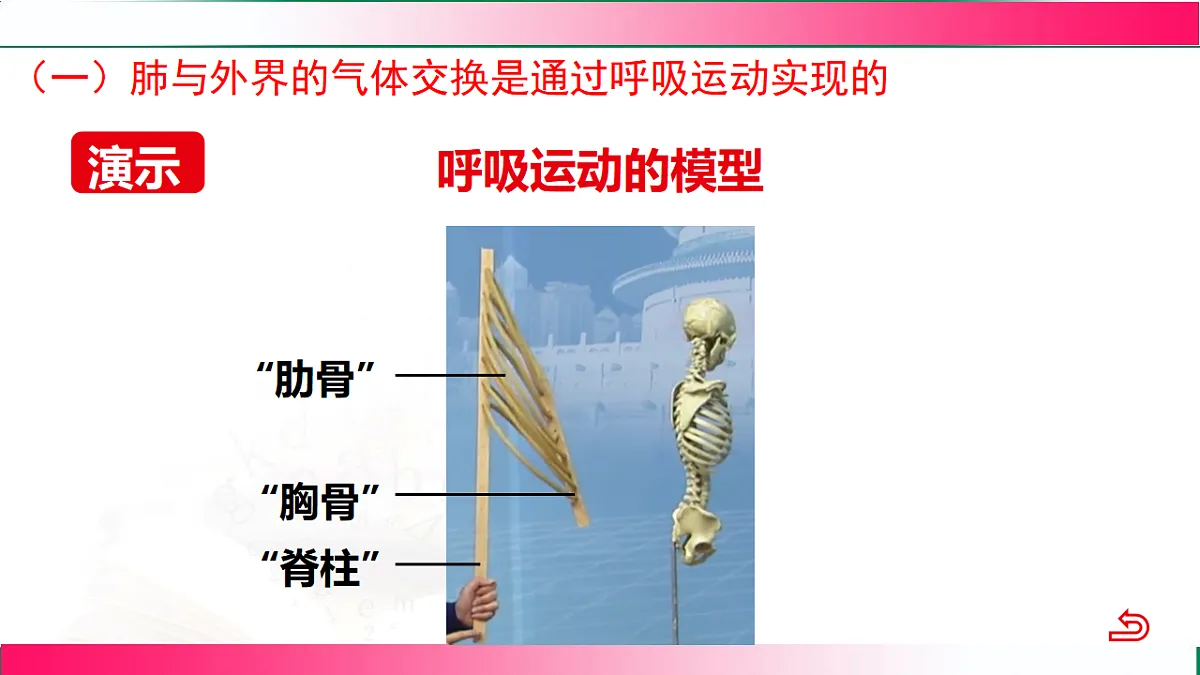 17778461第8页