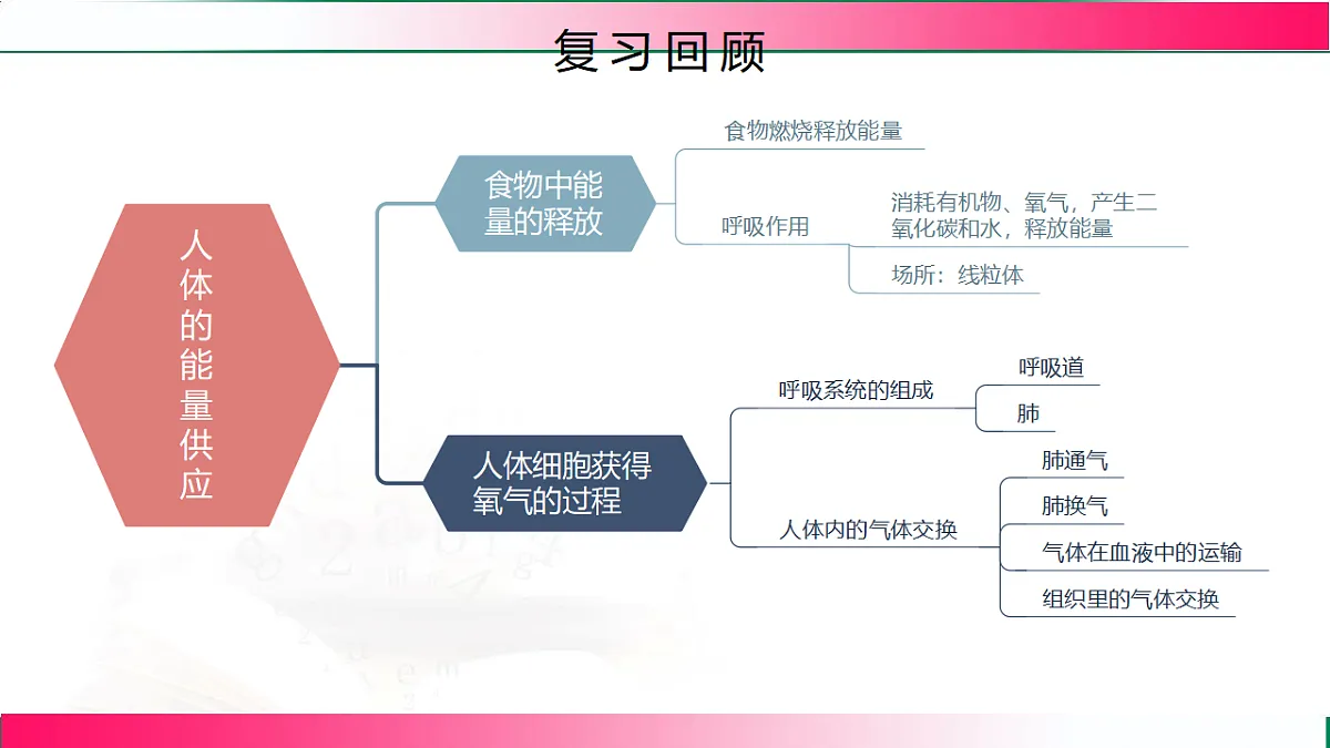 17778462第3页