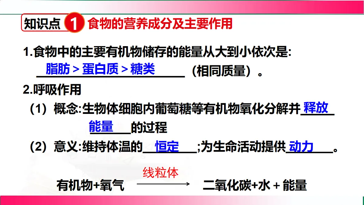 17778462第4页