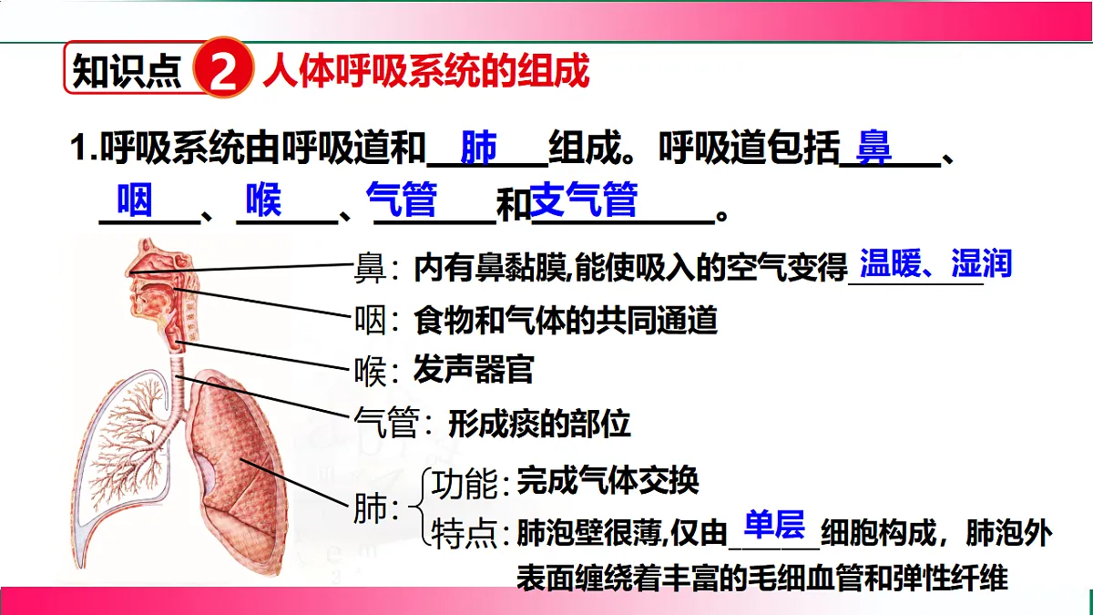 17778462第5页