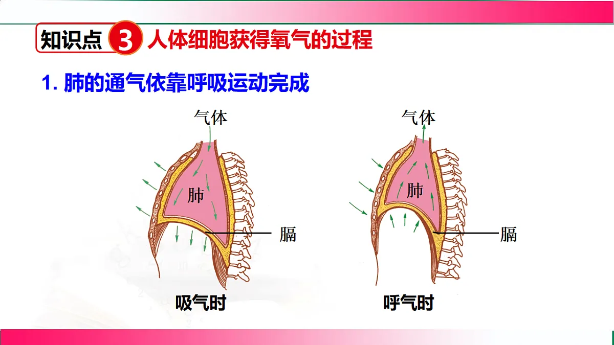17778462第6页