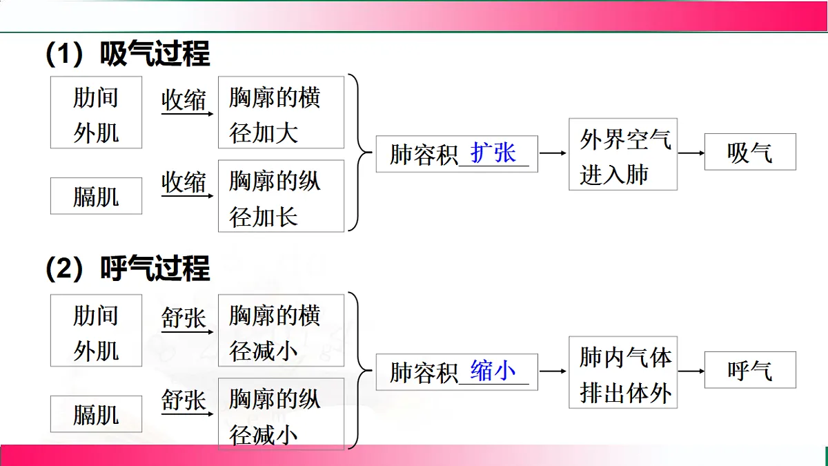 17778462第7页