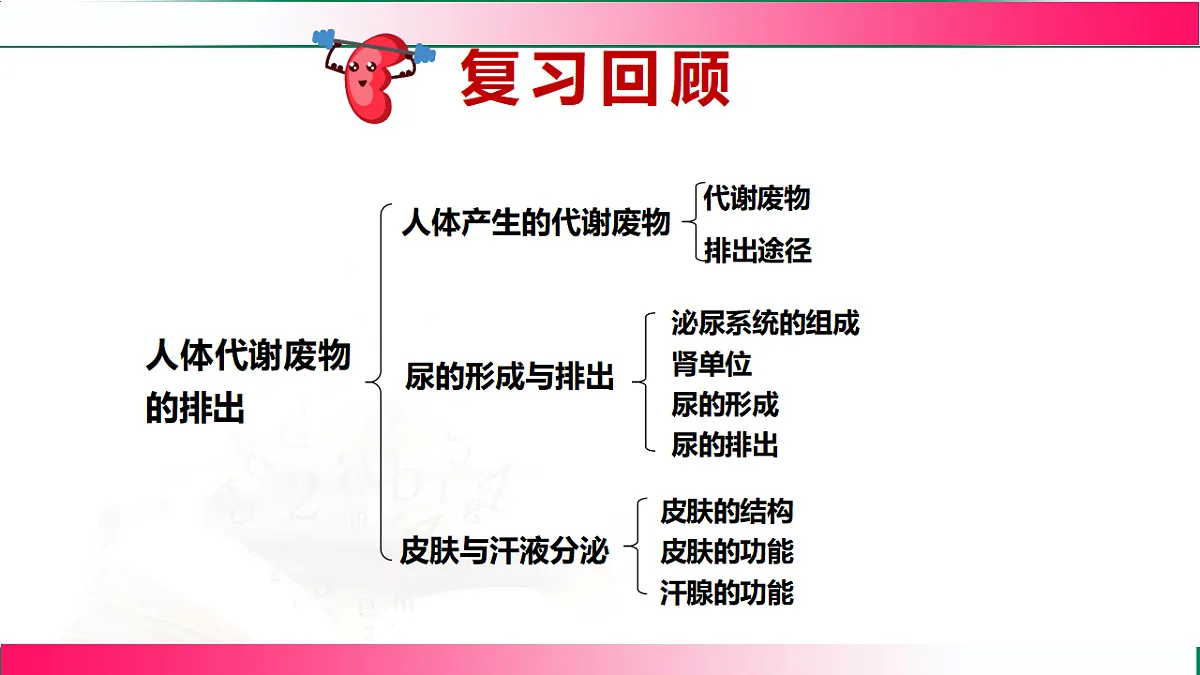17778467第3页