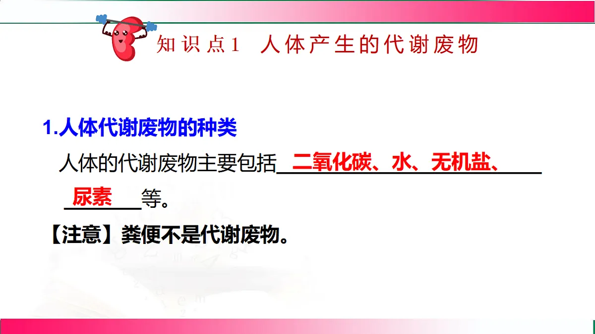 17778467第4页