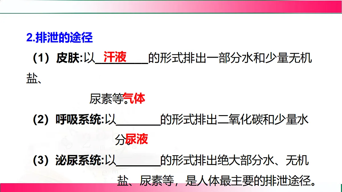 17778467第5页