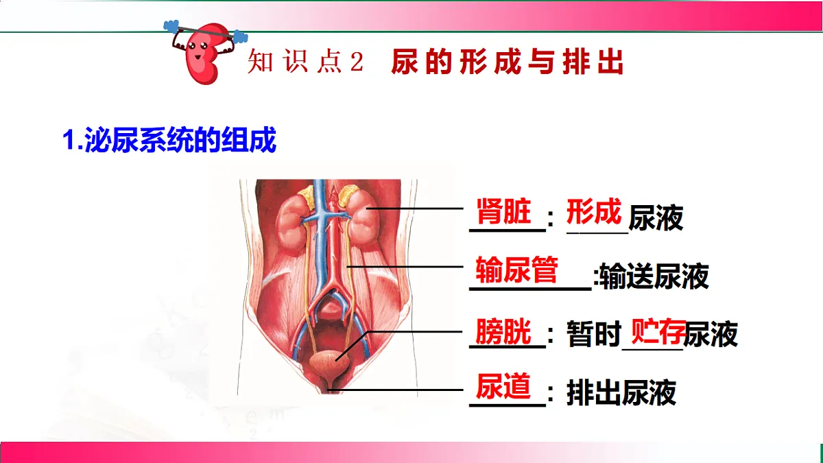 17778467第7页