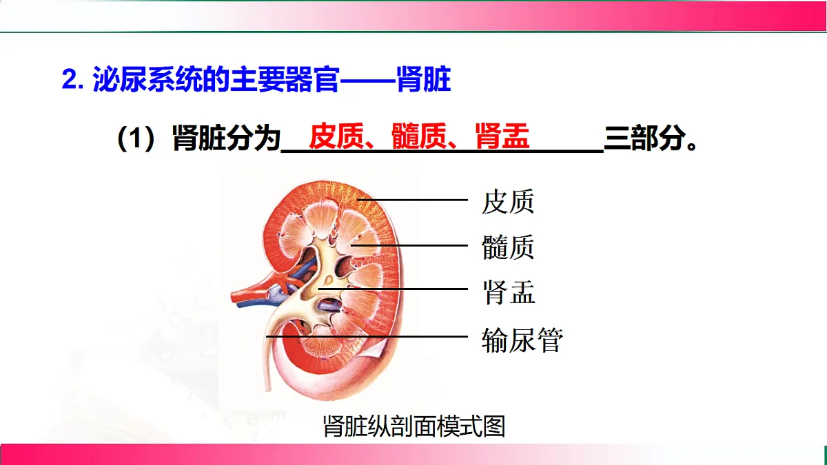 17778467第8页