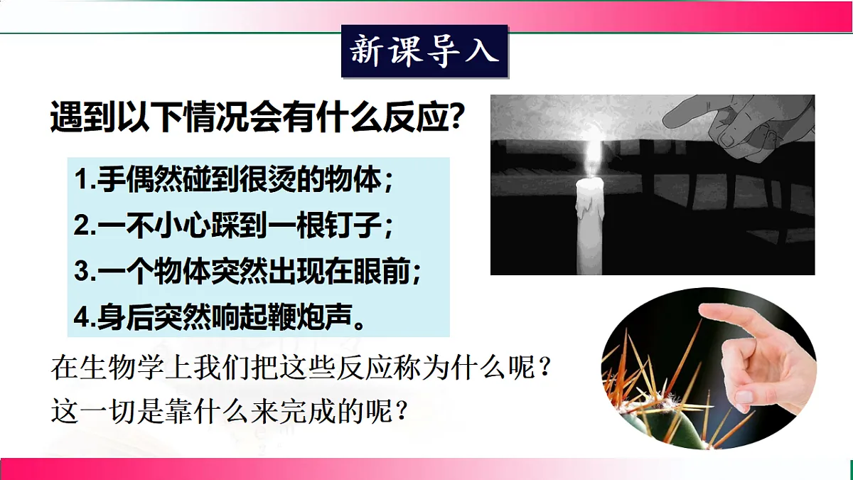 17778469第3页