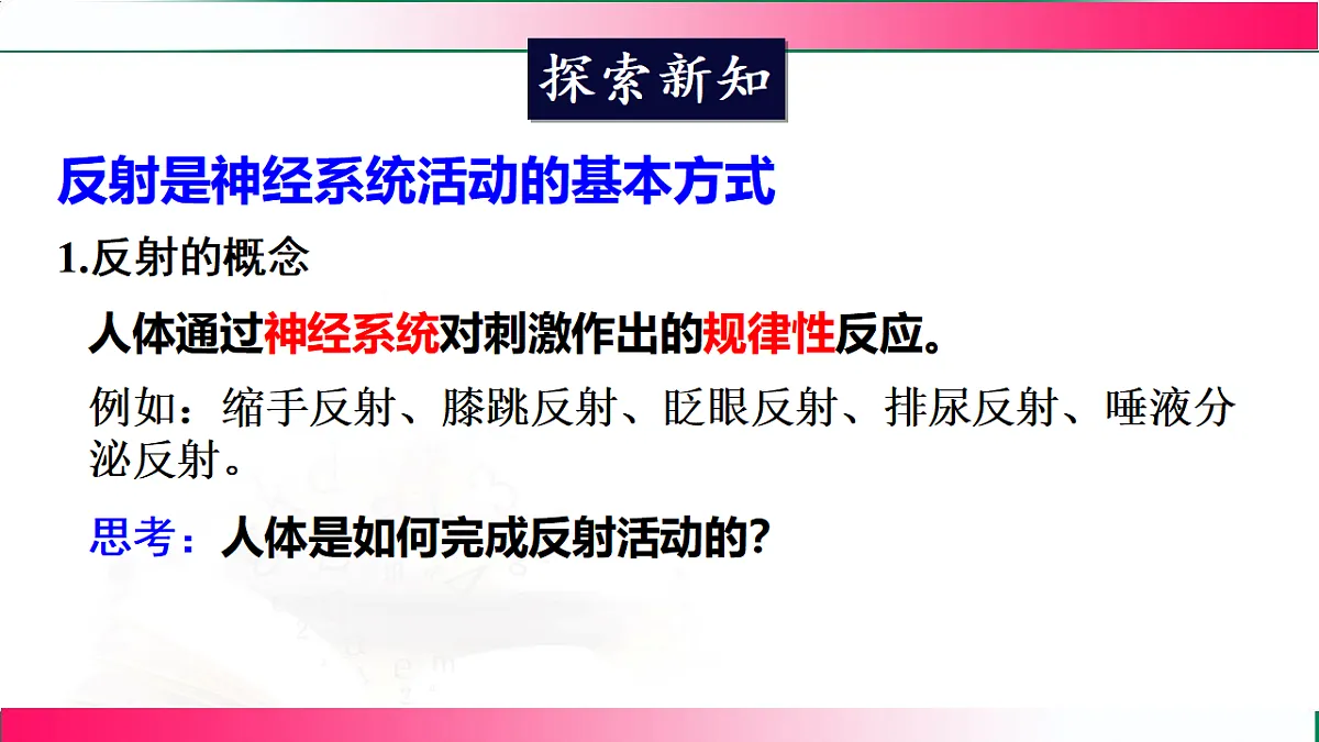 17778469第4页
