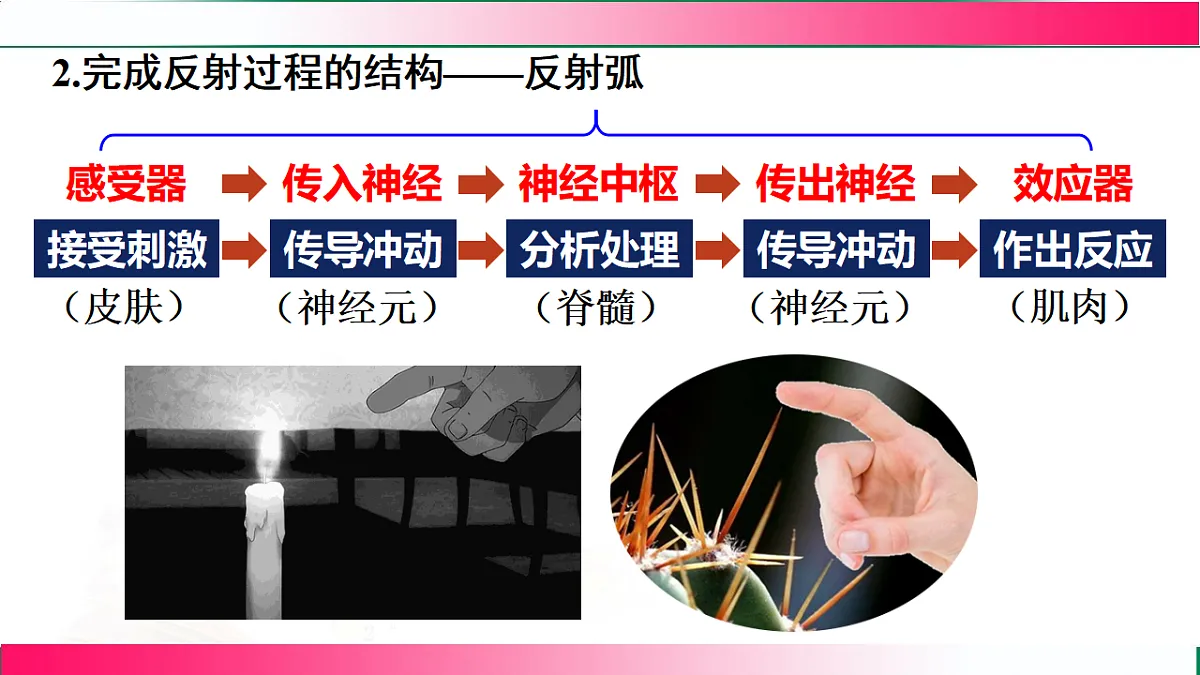 17778469第5页