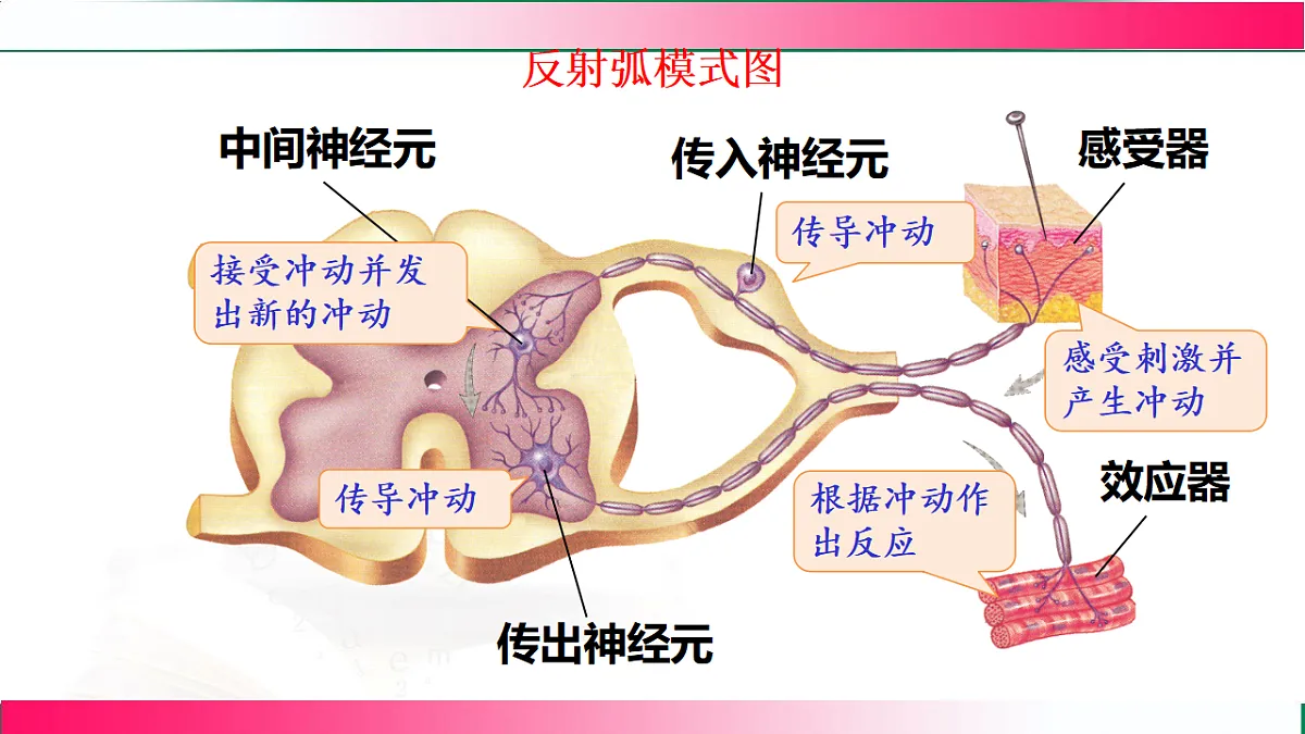 17778469第6页