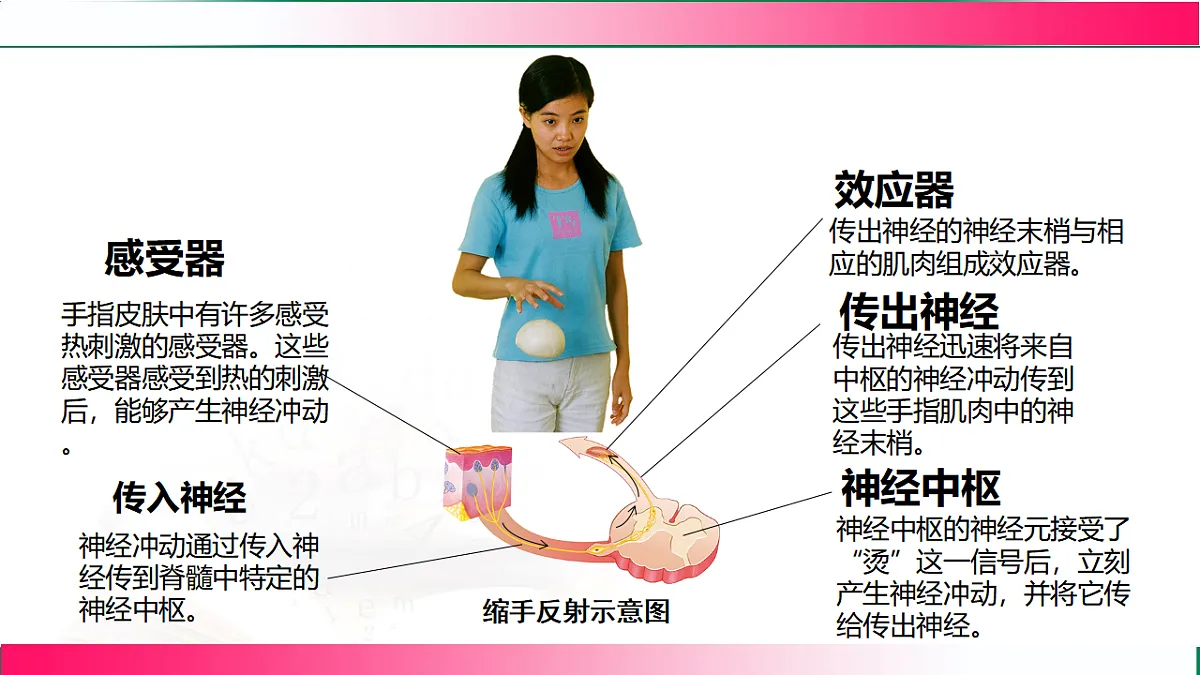 17778469第7页