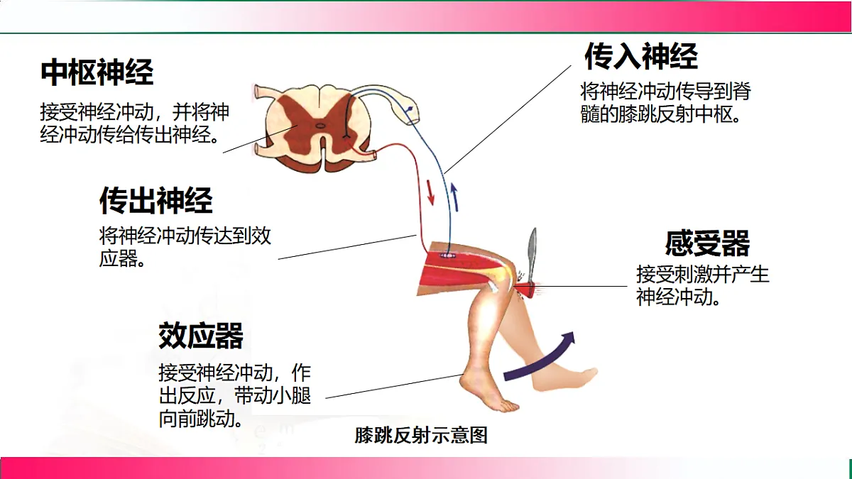 17778469第8页