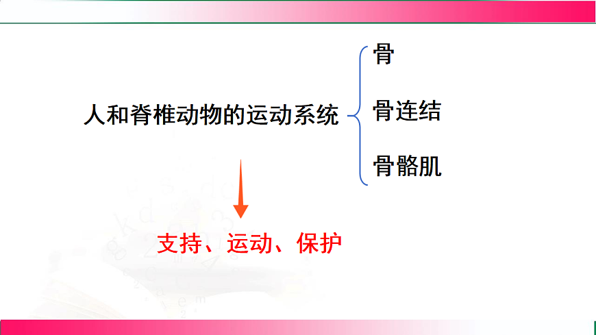 17778474第4页