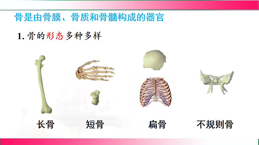 17778474第5页