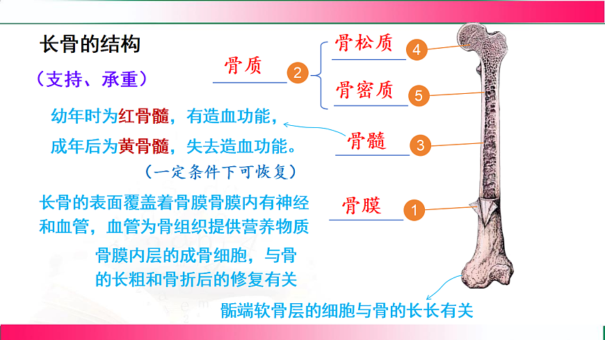 17778474第6页