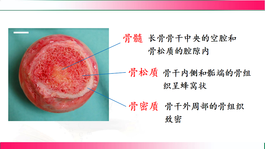 17778474第7页