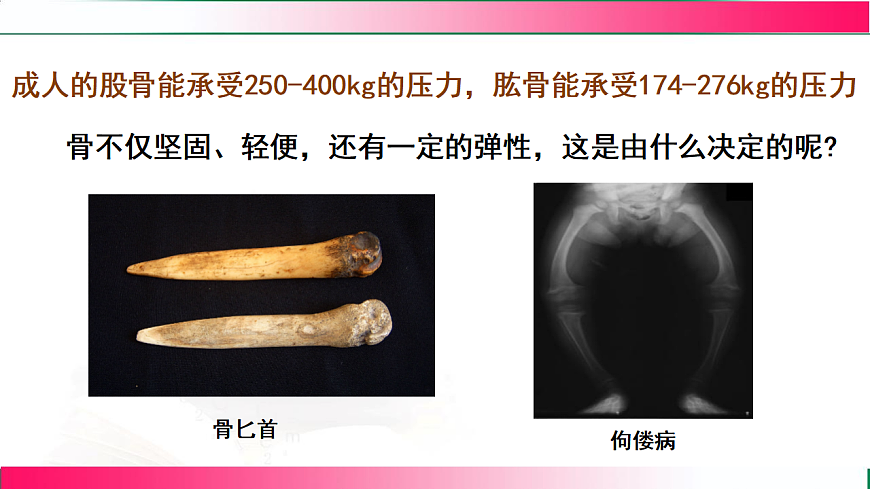 17778474第8页